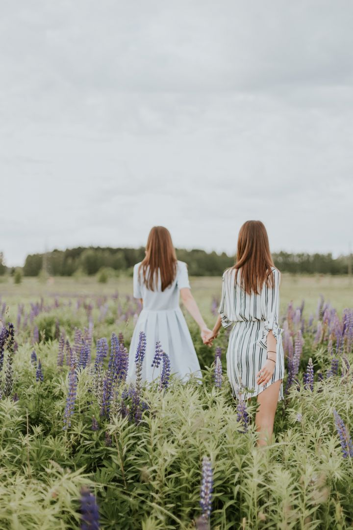 Due donne camminano in un campo di fiori viola, vista posteriore, concetto di libertà e nuove scelte