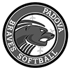 Logo sponsor