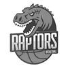 Logo sponsor