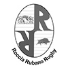 Logo sponsor