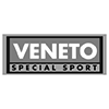 Logo sponsor