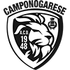 Logo sponsor