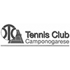 Logo sponsor